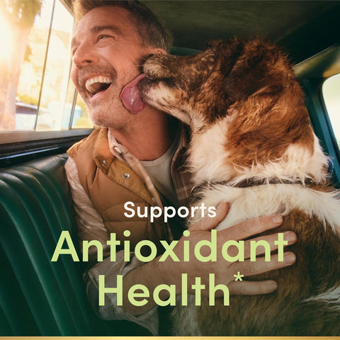 Nature's Bounty Vitamin E 1000 IU Softgels, Supports Antioxidant Health & Immune System, 1 Serving per Day, No Gluten, 60 Softgels (Pack of 3)